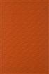 CL3369
                       
                         (ORANGE CITY LIGHTS)
                         
                         